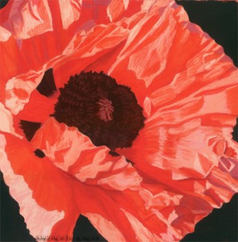 Poppy