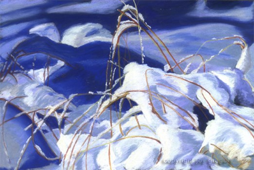 Snow and Grass