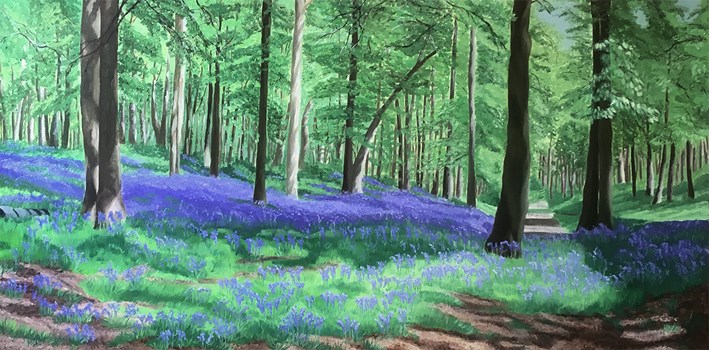 Bluebell Woods