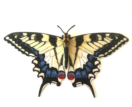 Swallowtail Butterfly