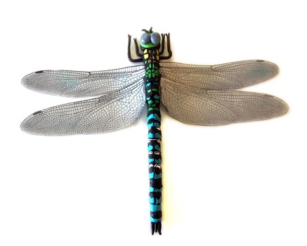 Dragonfly Wall Sculpture - Southern Hawker