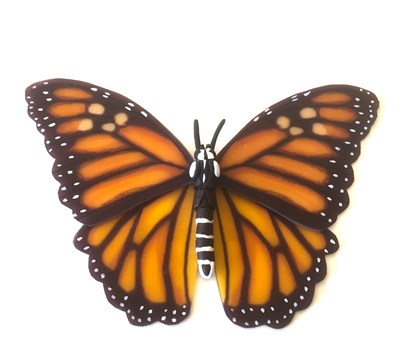 Monarch Butterfly
