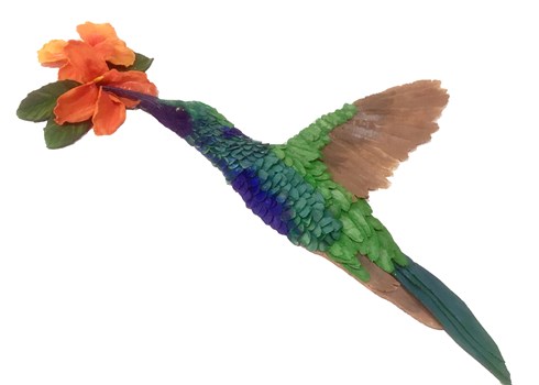 Humming Bird