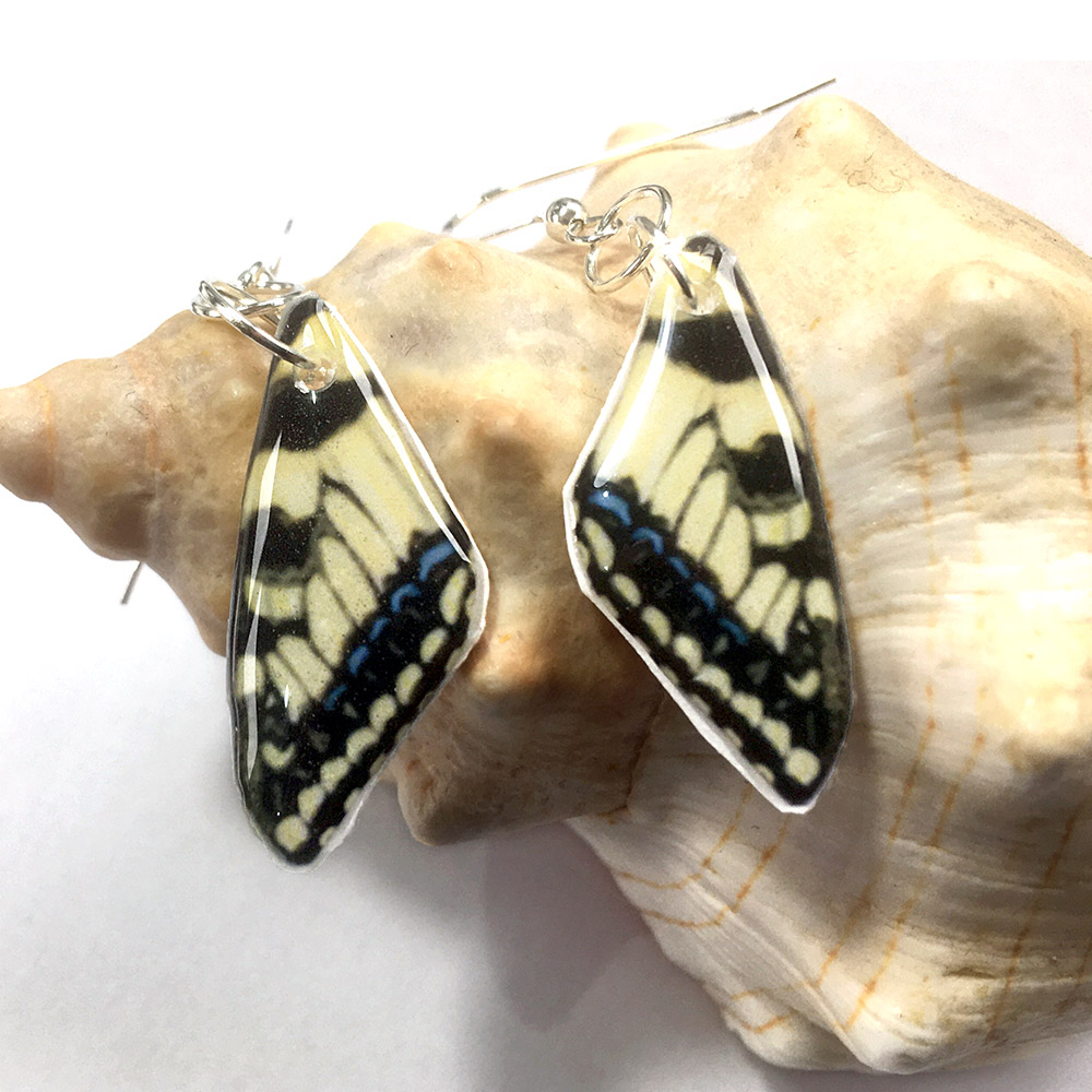 Swallowtail Butterfly Wing Earrings