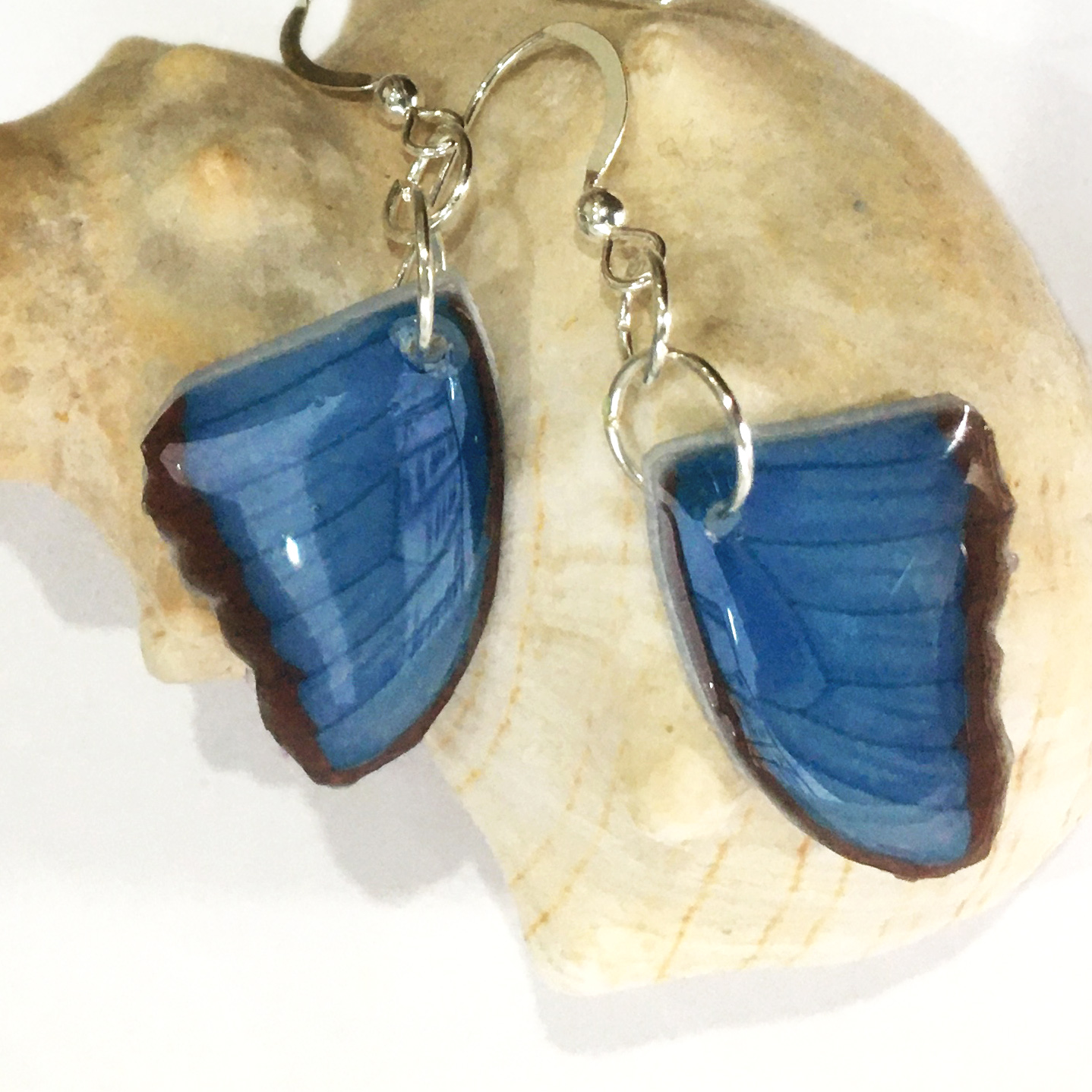 Blue Morpho Butterfly Wing Earrings