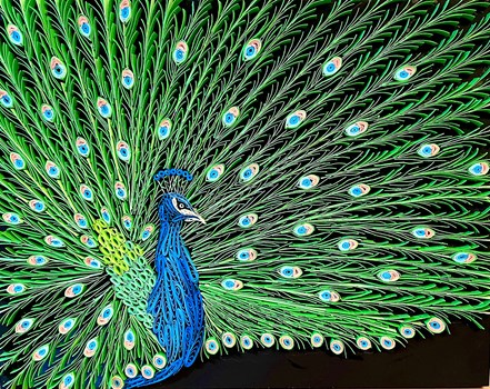 Quilled Peacock